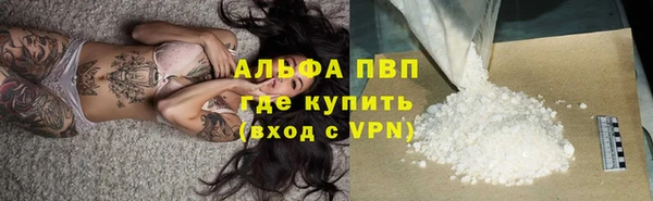 PSILOCYBIN Няндома