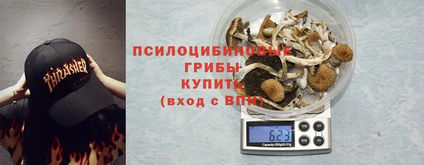 PSILOCYBIN Няндома