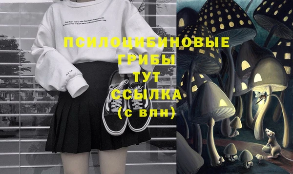 PSILOCYBIN Няндома