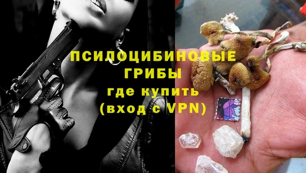 стафф Нягань