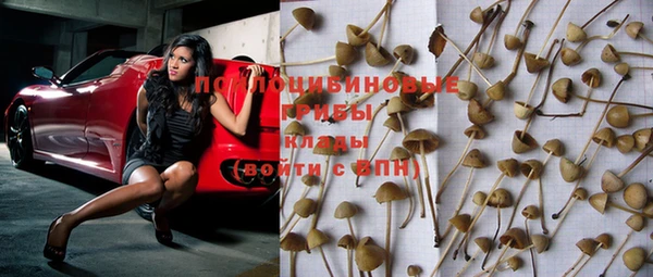 стафф Нягань